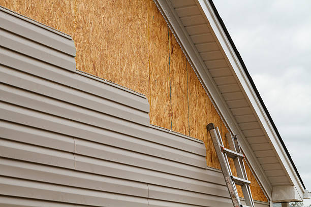 Professional Storm Damage Siding Repair technician working in Woodruff, SC